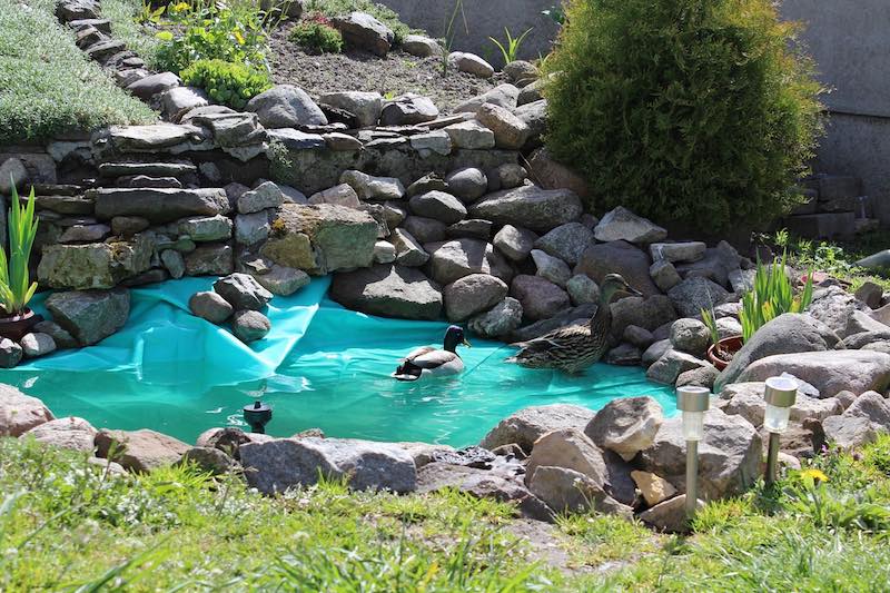 Der eigene Gartenteich verleiht Freude und Erholung