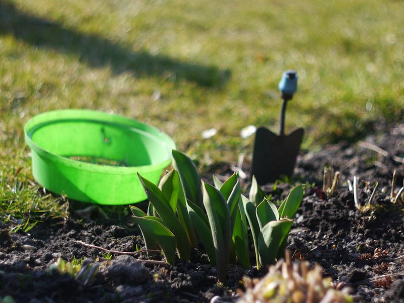 Garten-Tools eines Hobby-Gärtners