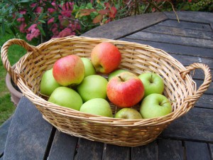 Obstgarten in eigenem Garten