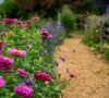 Welche Herbstpflanzen bewähren sich am besten im Garten?