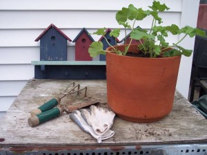 Praktische Gartenwerkzeuge im Überblick